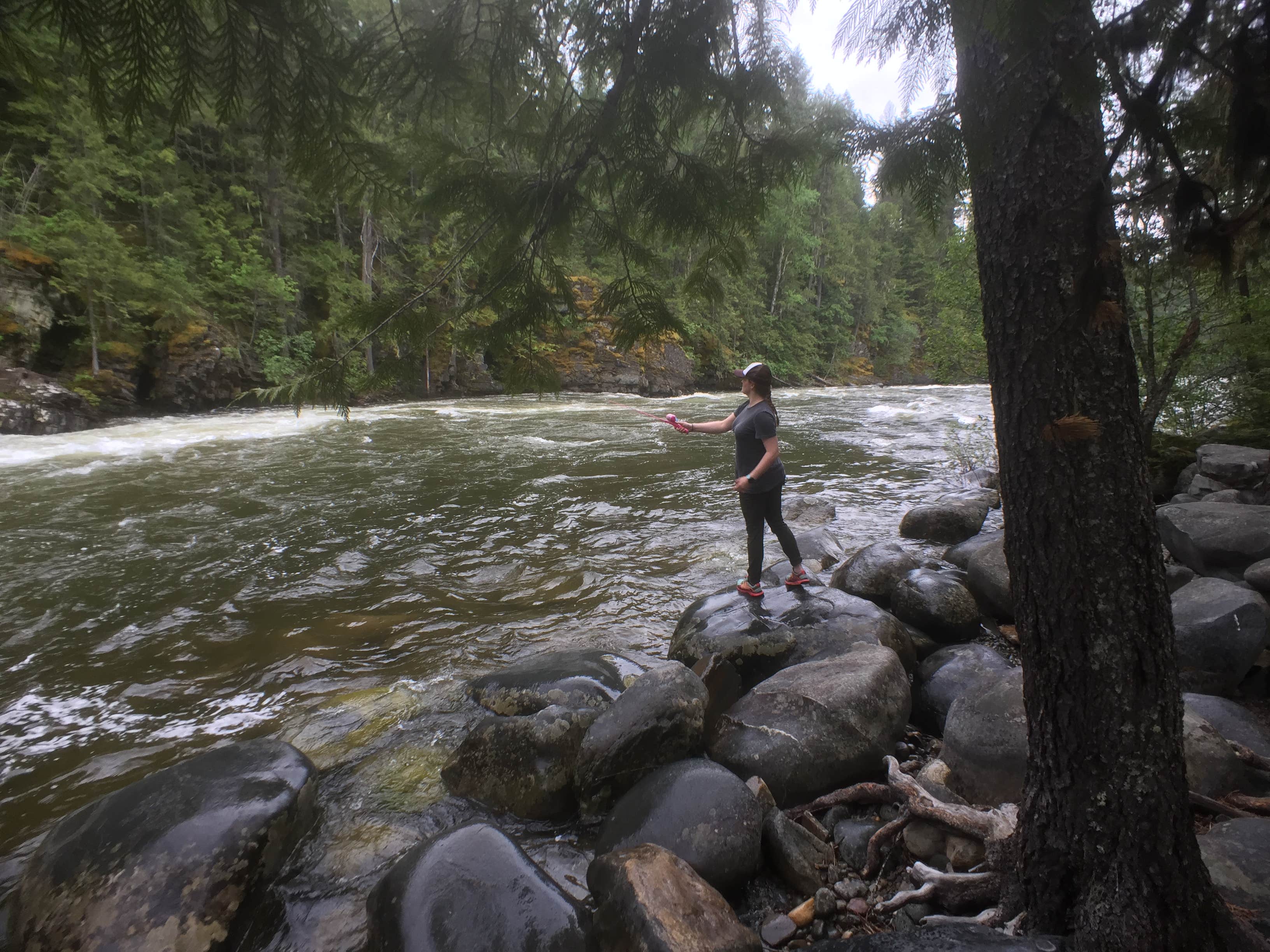 Camper-submitted photo at Yaak Mtn. Lookout Rental near Bonners Ferry, ID