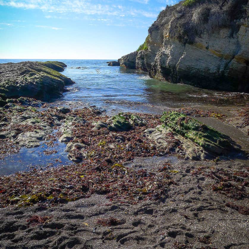 Islay Creek Campground Montaña de Oro State Park Camping The Dyrt