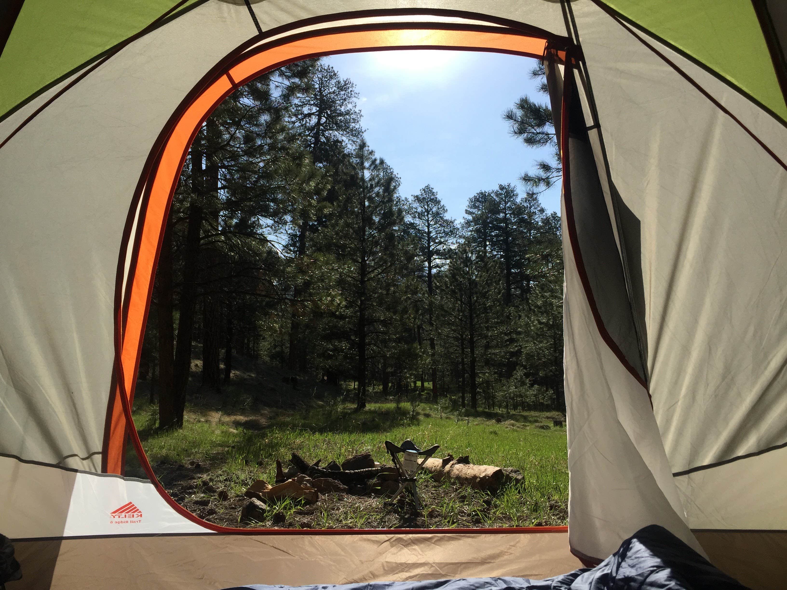 Damon T.'s photo at Redondo Campground near Vallecitos, NM
