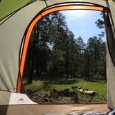 Review photo of Redondo Campground by Damon T., June 24, 2016
