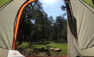 Damon T.'s photo at Redondo Campground near Cuba, NM