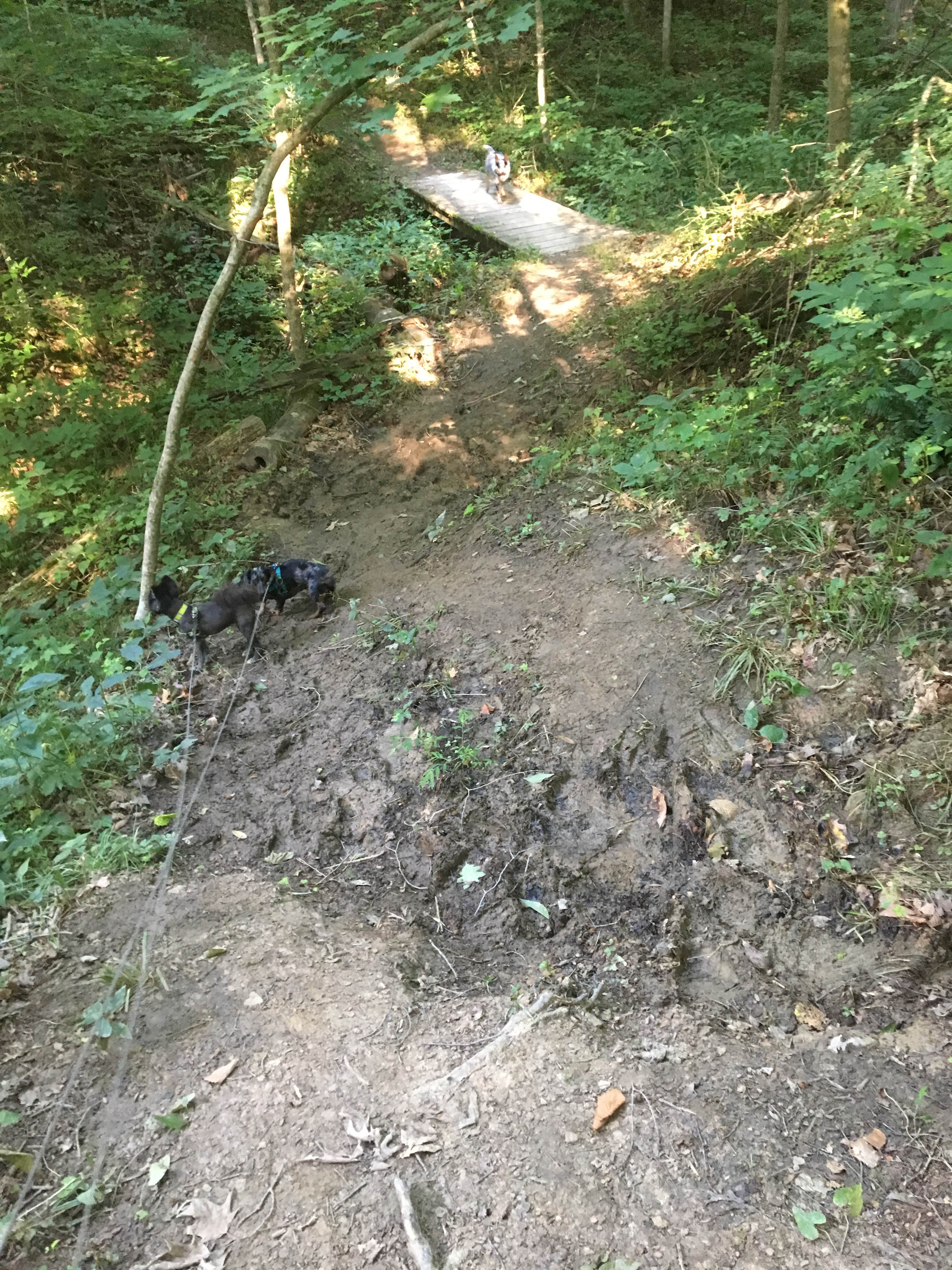 Camper-submitted photo at Burr Oak State Park Campground near Clifton, OH