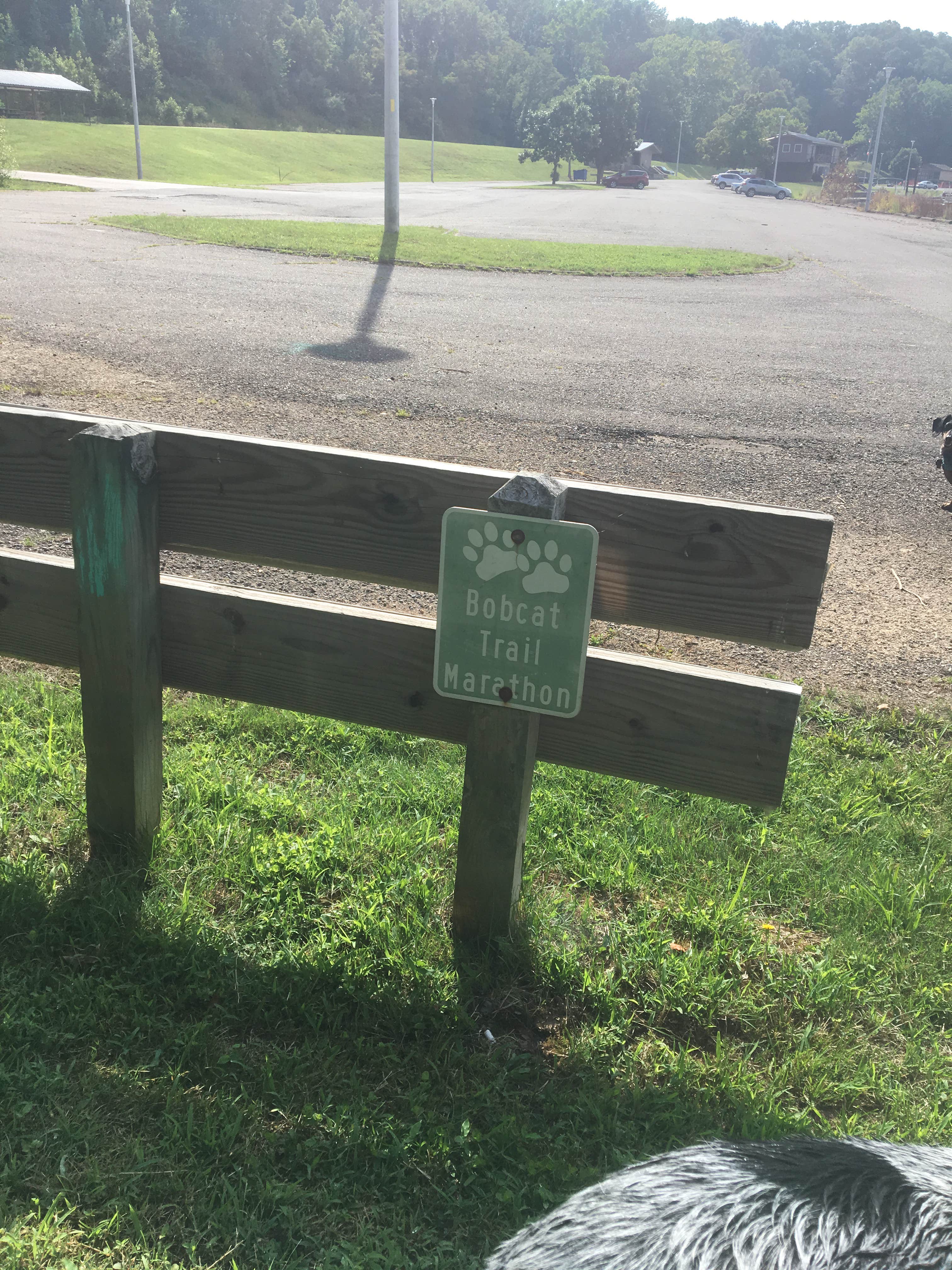 Camper submitted image from Burr Oak State Park Campground - 5