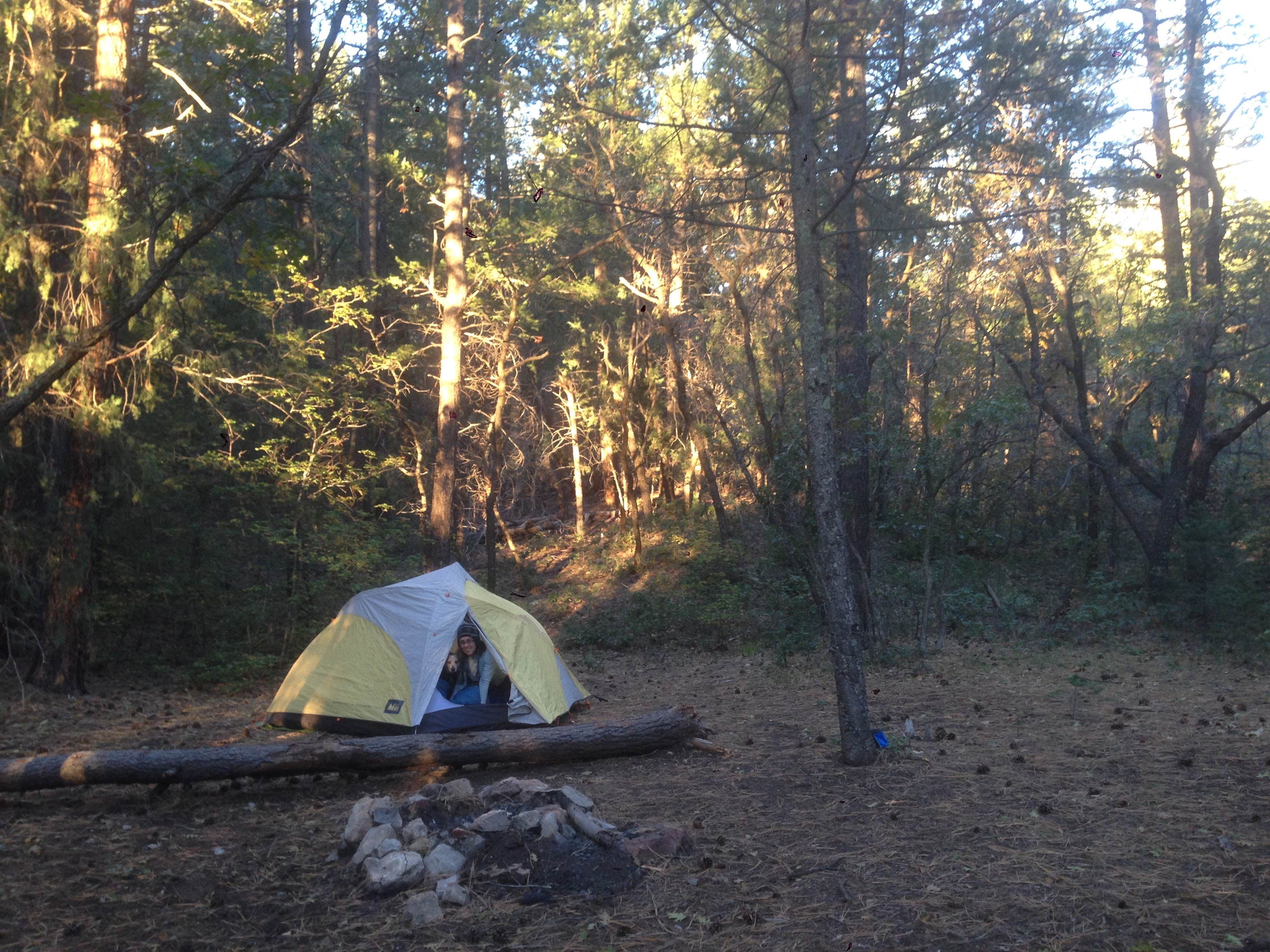 Camper submitted image from Fourth of July Campground - 3