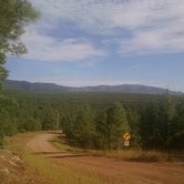 Review photo of Manzano Mountains State Park Campground by David C., July 8, 2017