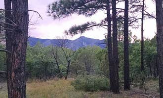 Camping near Padilla Ranch: Manzano Mountains State Park Campground, Mountainair, New Mexico