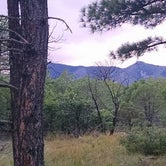 Review photo of Manzano Mountains State Park Campground by David C., July 8, 2017