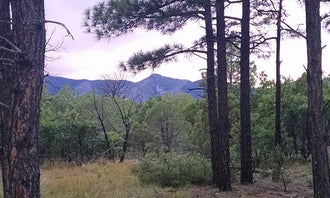 Camping near New Canyon Campground: Manzano Mountains State Park, Mountainair, New Mexico