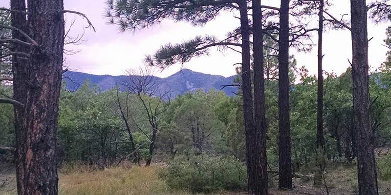 Camper submitted image from Manzano Mountains State Park Campground