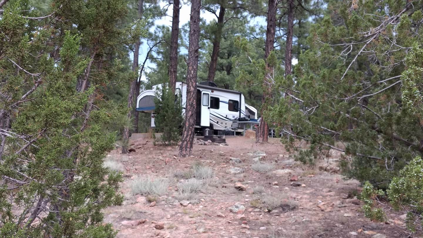 David C.'s photo of rv camping at Fool Hollow Lake Recreation Area Campground near Pinetop-Lakeside, AZ