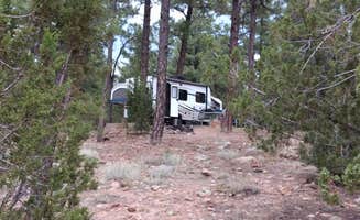 David C.'s photo of rv camping at Fool Hollow Lake Recreation Area Campground near Cibecue, AZ