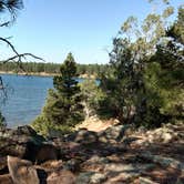 Review photo of Fool Hollow Lake Recreation Area Campground by David C., July 9, 2017
