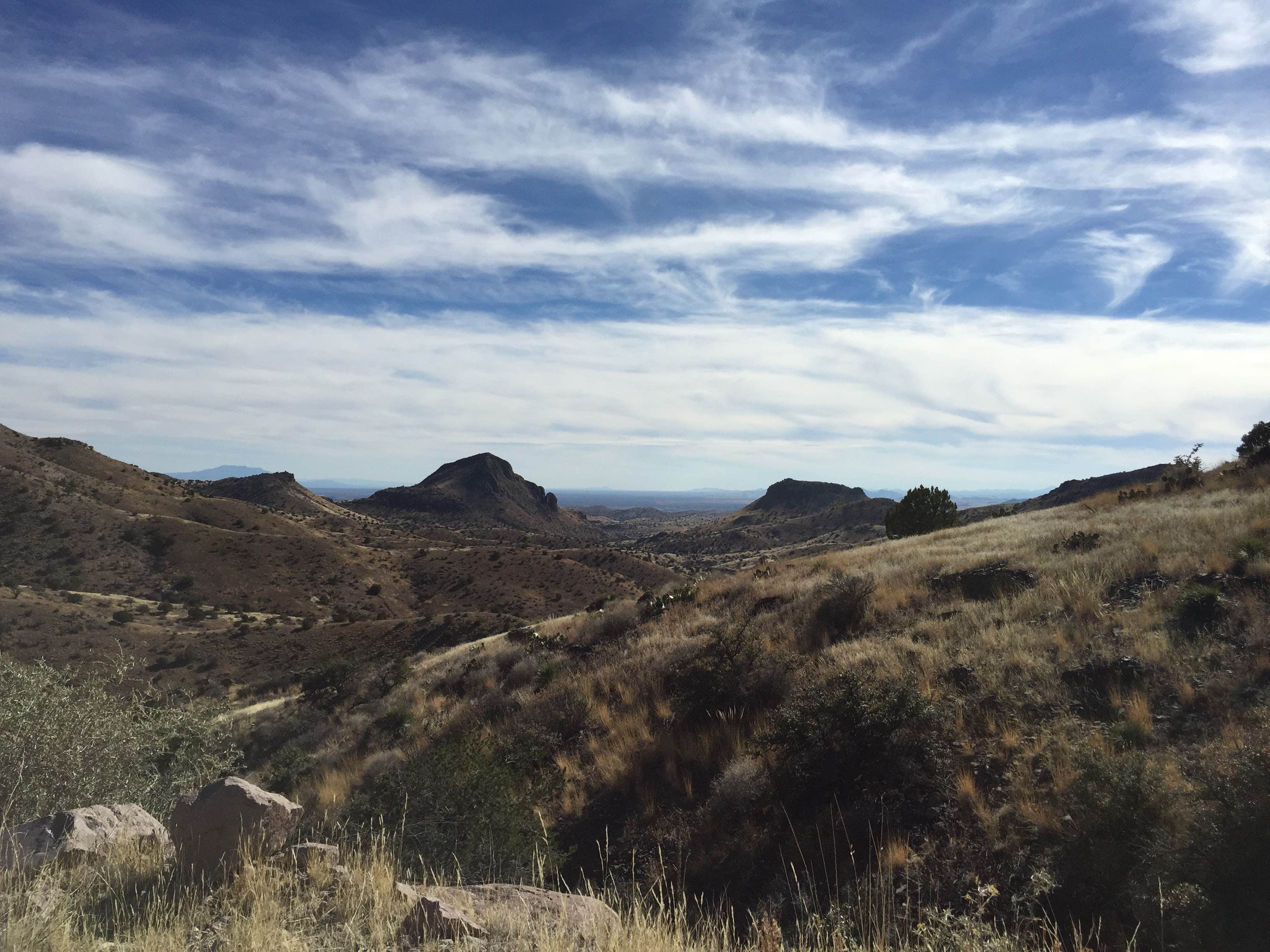 Camper submitted image from Cibola National Forest Luna Park Campground - 2