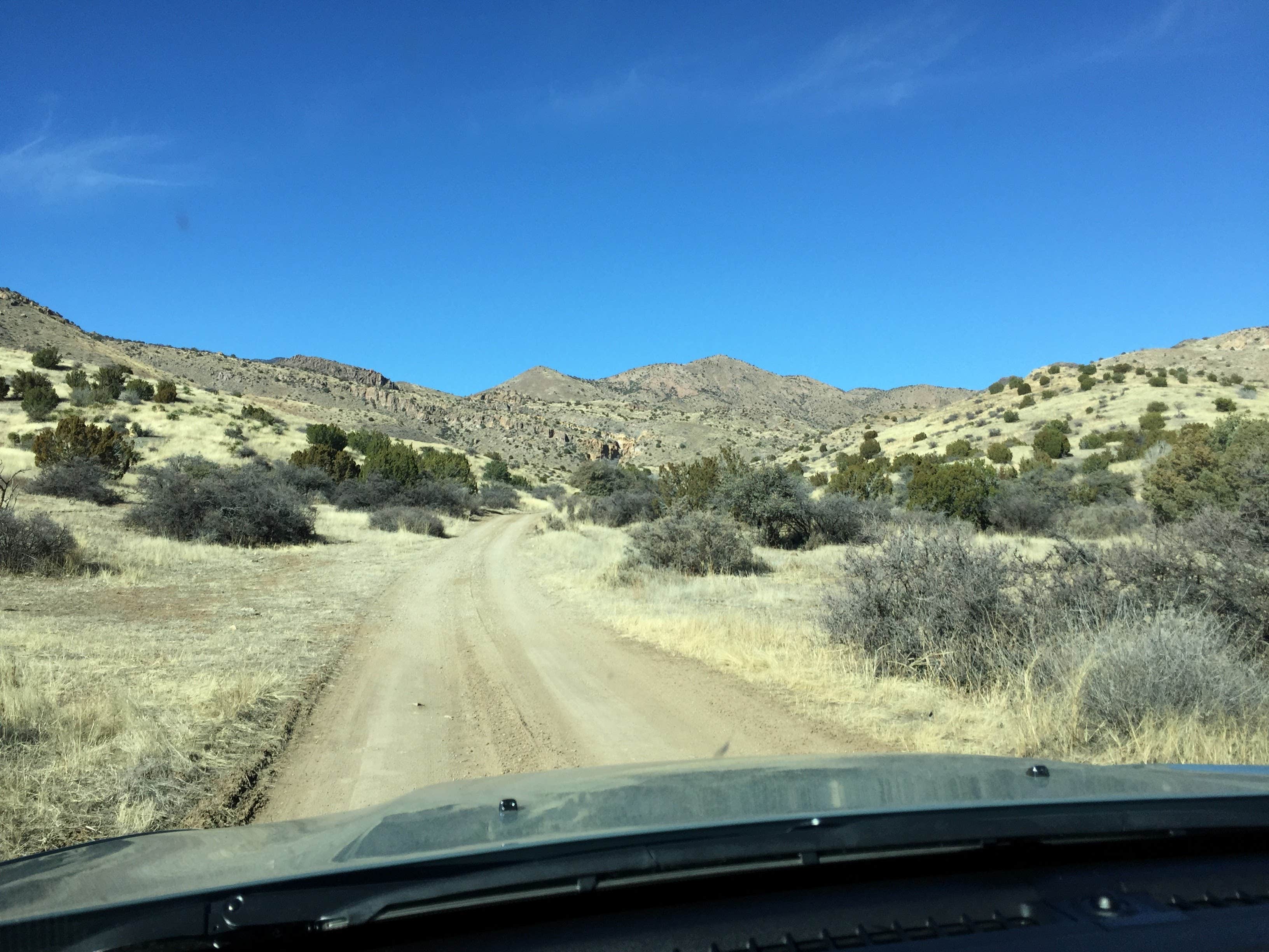 Camper-submitted photo at Cibola National Forest Luna Park Campground near Winston, NM