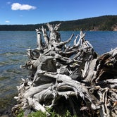 Review photo of Paulina Lake Campground by Erin P., July 9, 2017