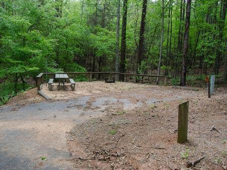 Camper submitted image from Upper Stamp Creek Campground - 5