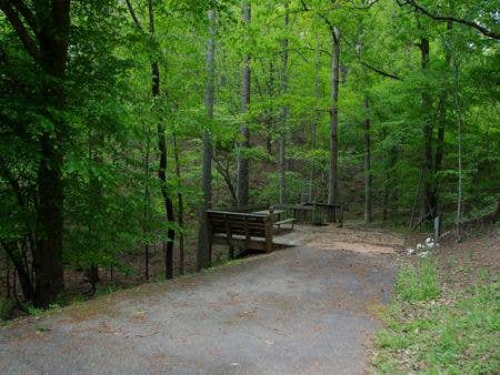 Upper Stamp Creek Campground White GA