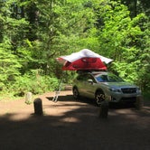 Review photo of Ohanapecosh Campground — Mount Rainier National Park by Amy S., July 9, 2017