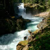 Review photo of Ohanapecosh Campground — Mount Rainier National Park by Amy S., July 9, 2017