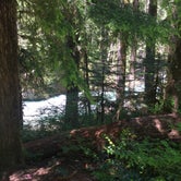 Review photo of Ohanapecosh Campground — Mount Rainier National Park by Amy S., July 9, 2017