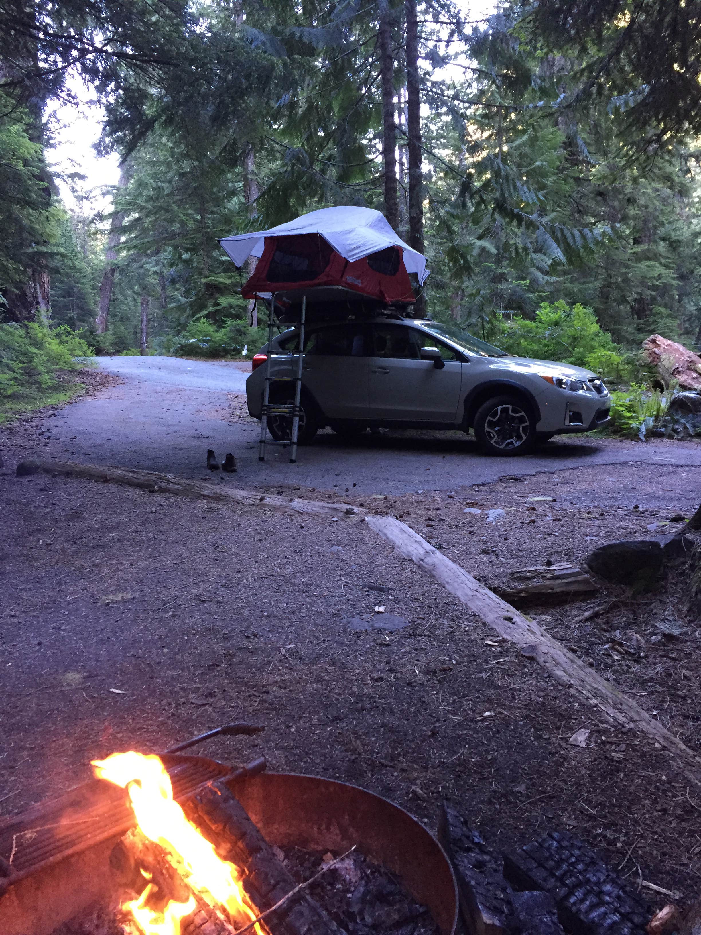 Amy S.'s photo at Cougar Rock Campground — Mount Rainier National Park near Elbe, WA