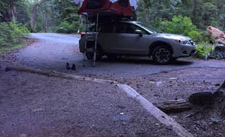 Amy S.'s photo at Cougar Rock Campground — Mount Rainier National Park near Elbe, WA
