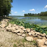 Review photo of Thomson Causeway by Rose T., July 9, 2017