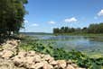 Thomson Il Thomson Causeway Camping | Thomson, Illinois