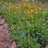 Review photo of Conundrum Hot Springs Dispersed Campgrounds by Leah W., July 9, 2017