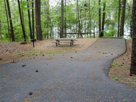 Camper submitted image from COE Allatoona Lake Old Highway 41 No 3 Campground - 4