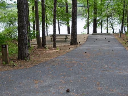 Camper submitted image from COE Allatoona Lake Old Highway 41 No 3 Campground - 5
