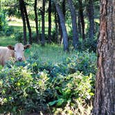 Review photo of Lower Hermosa Campground by Leah W., July 6, 2017