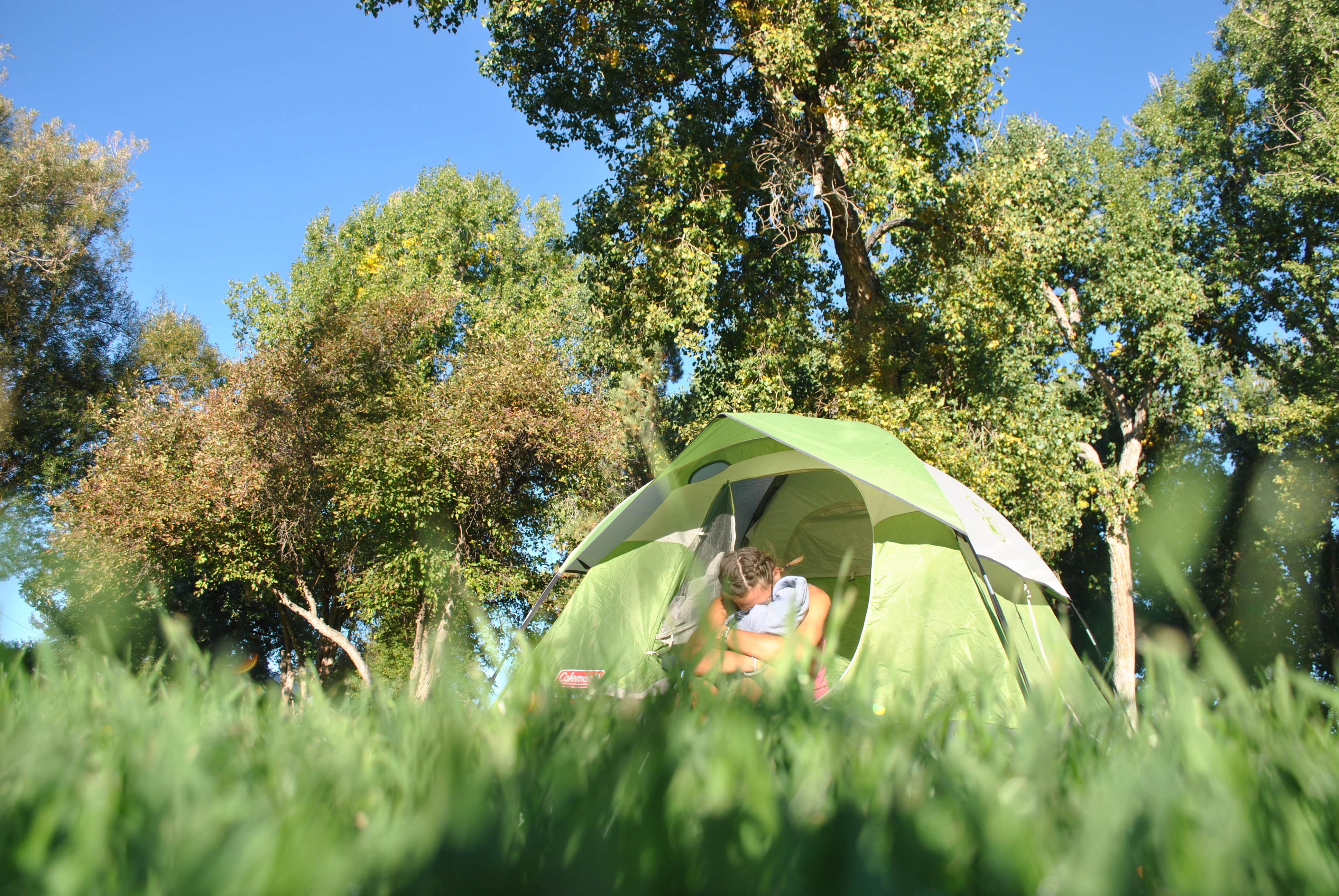 Leah W.'s photo at Wild Iris OK Corral near Riverton, WY