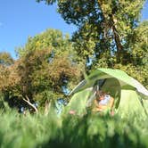 Review photo of Wild Iris OK Corral by Leah W., July 9, 2017