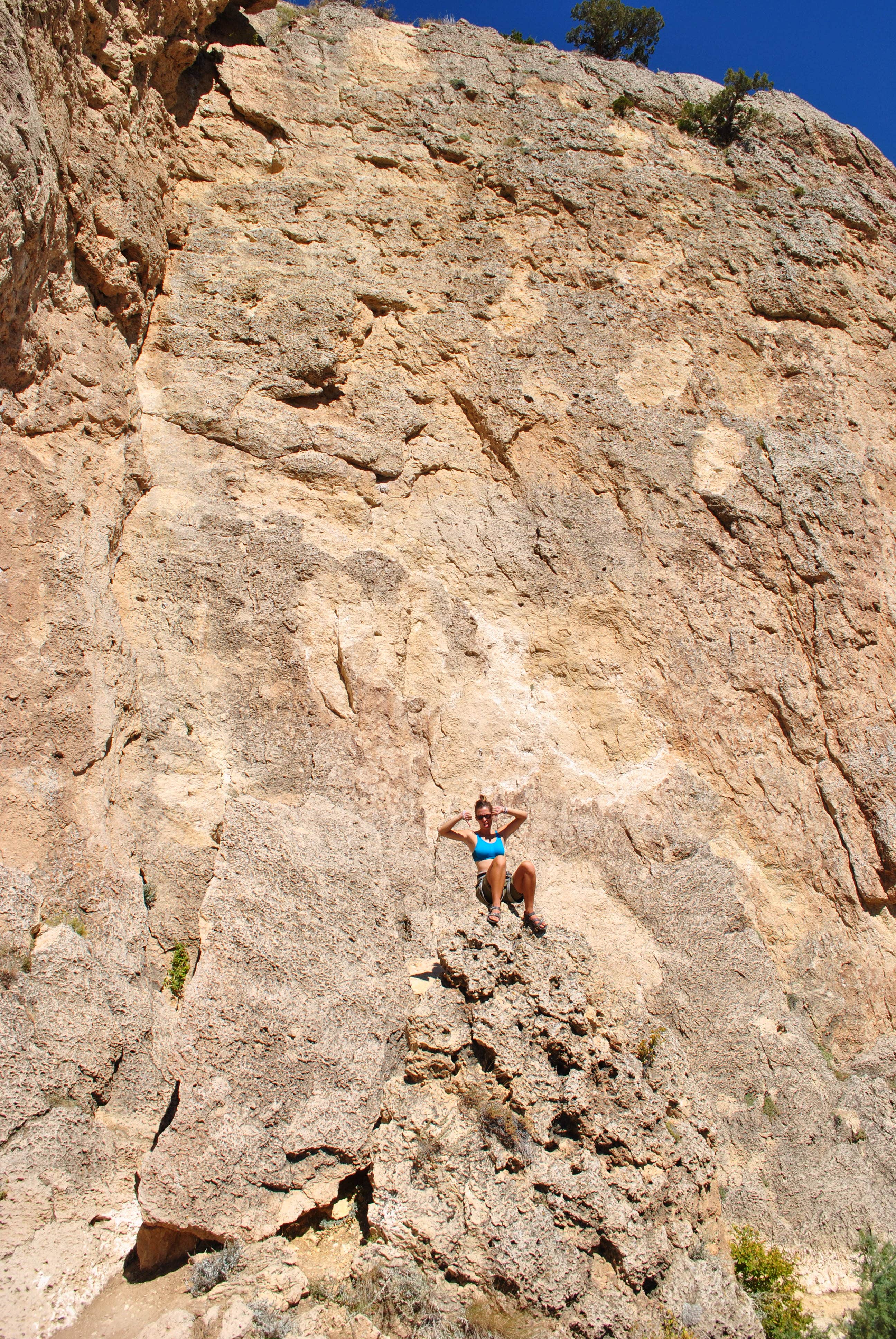 Camper submitted image from Wild Iris OK Corral - 4