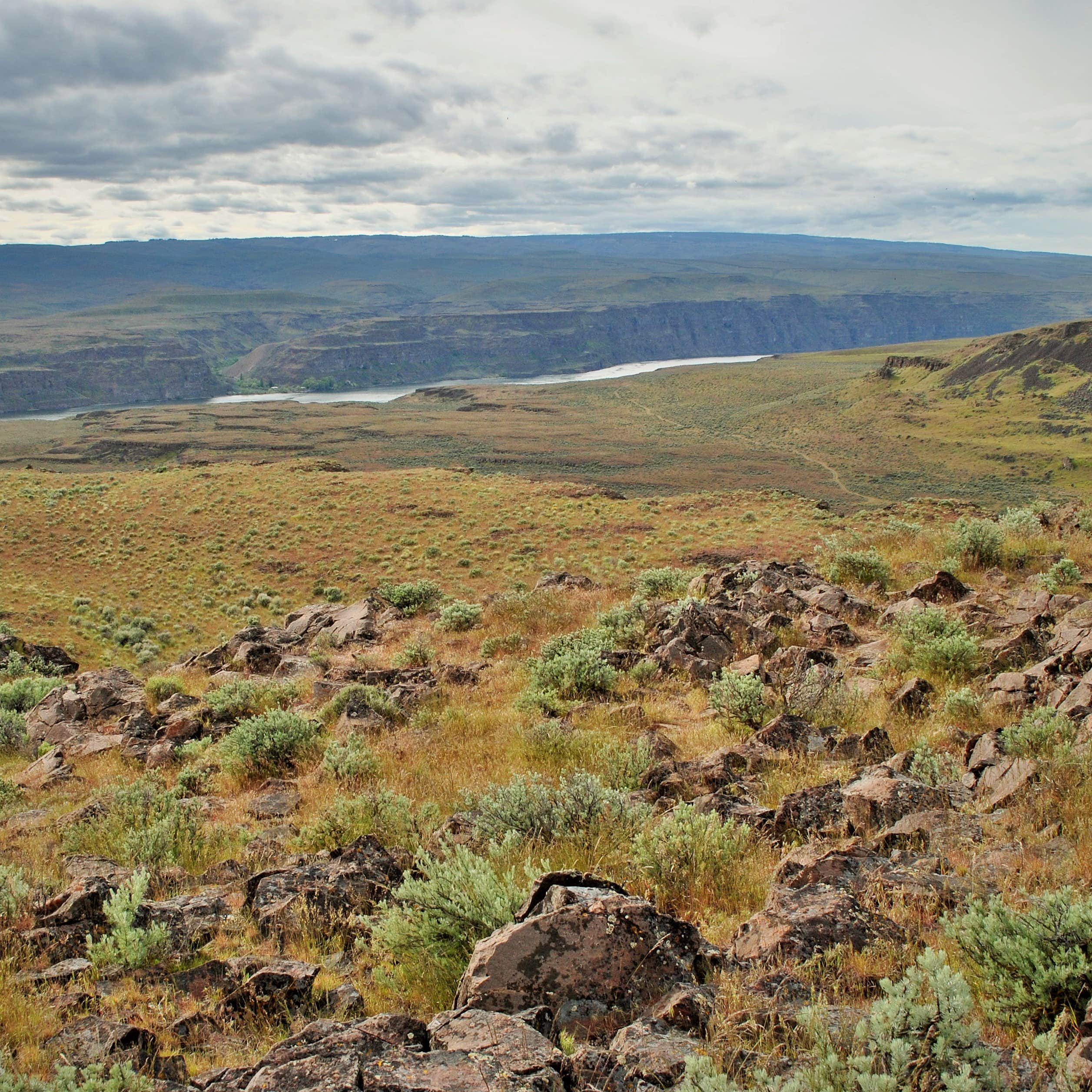 Frenchman Coulee Backcountry Campsites Camping The Dyrt