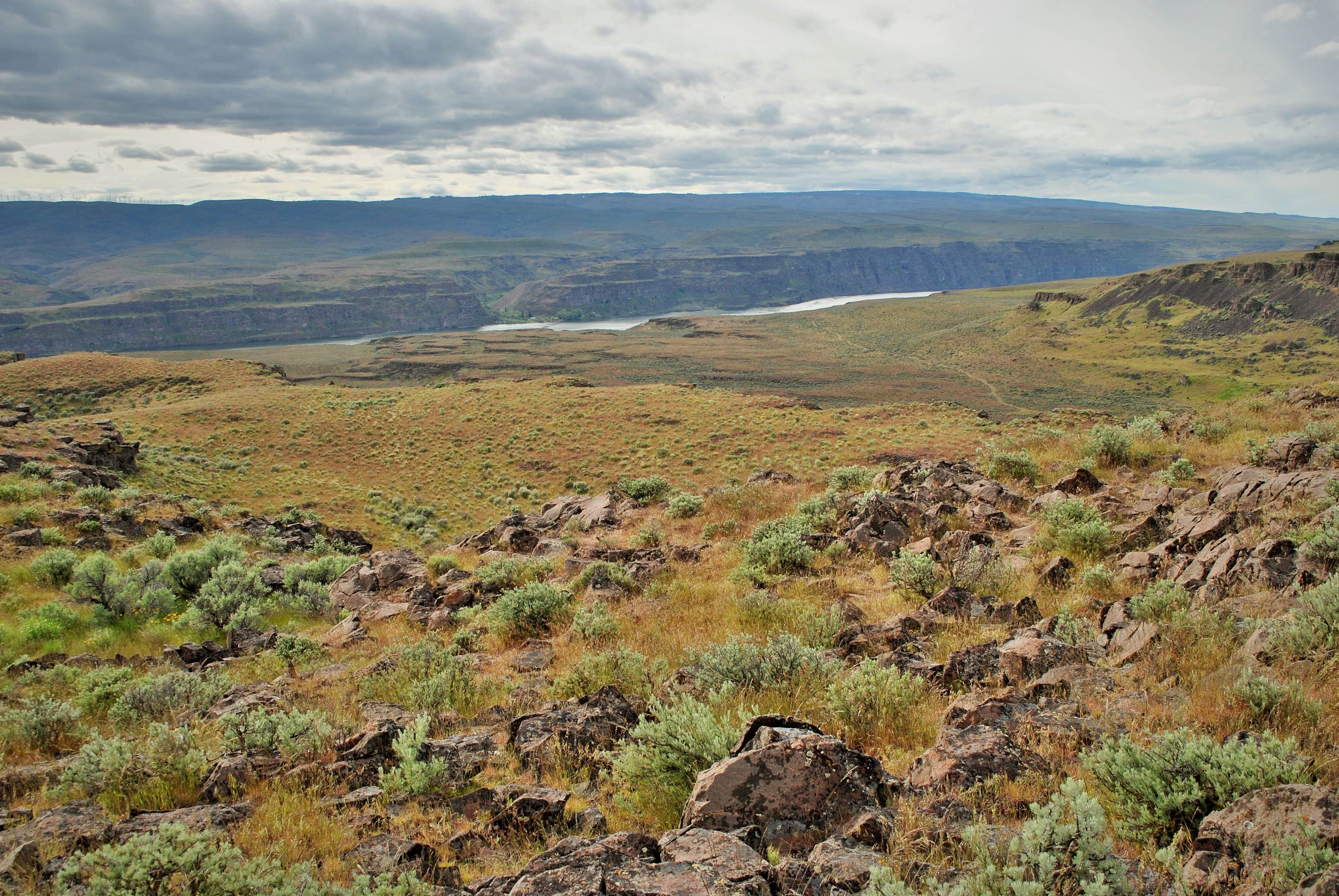 Camper submitted image from Frenchman Coulee Backcountry Campsites - 2