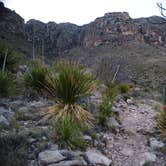 Review photo of Pine Springs Campground by Leah W., July 9, 2017