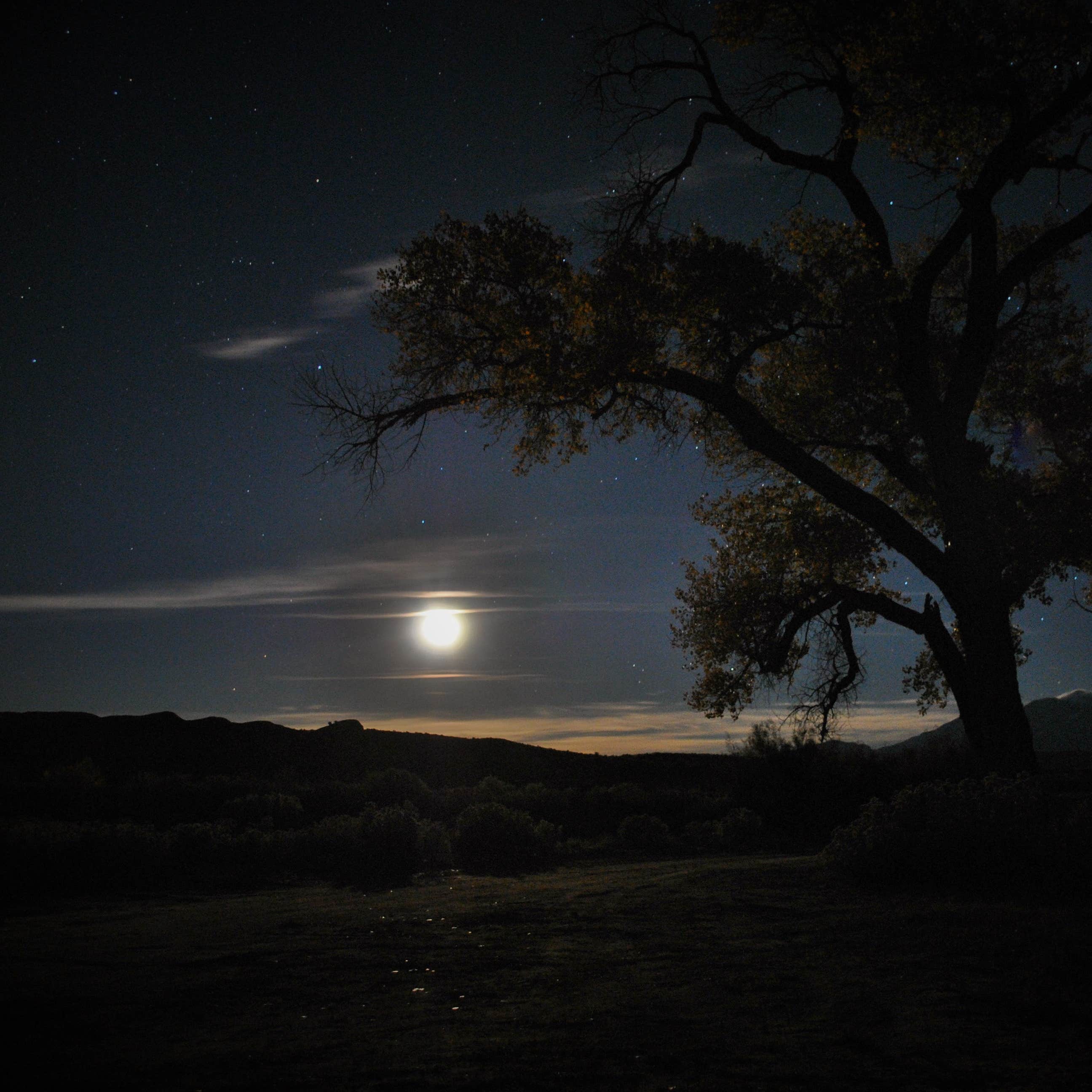 Capitol Reef National Park Dispersed Camping