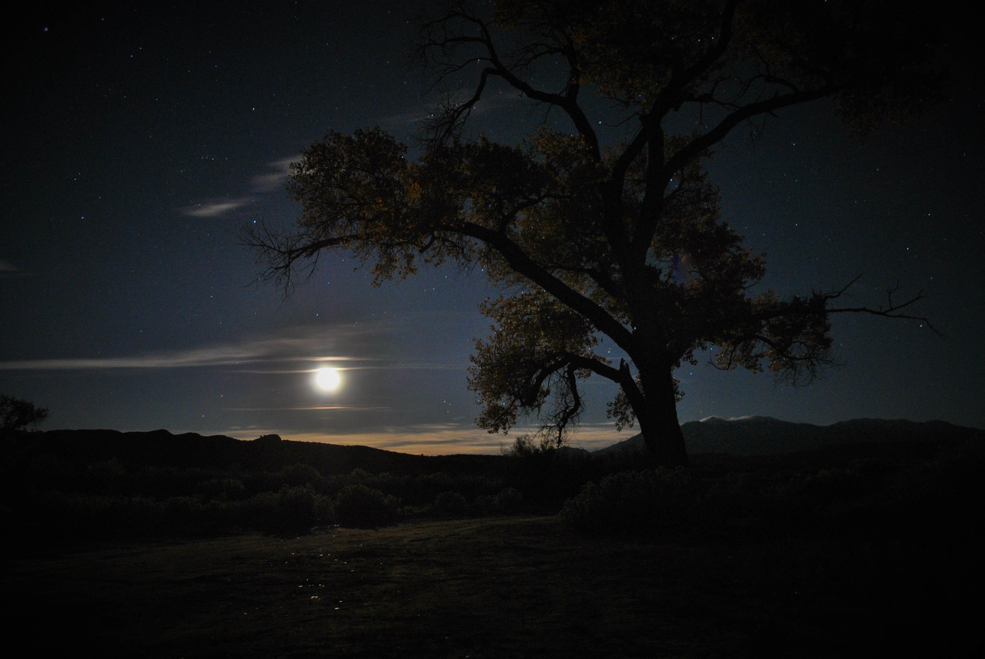 Camper submitted image from Capitol Reef National Park Dispersed Camping - 1