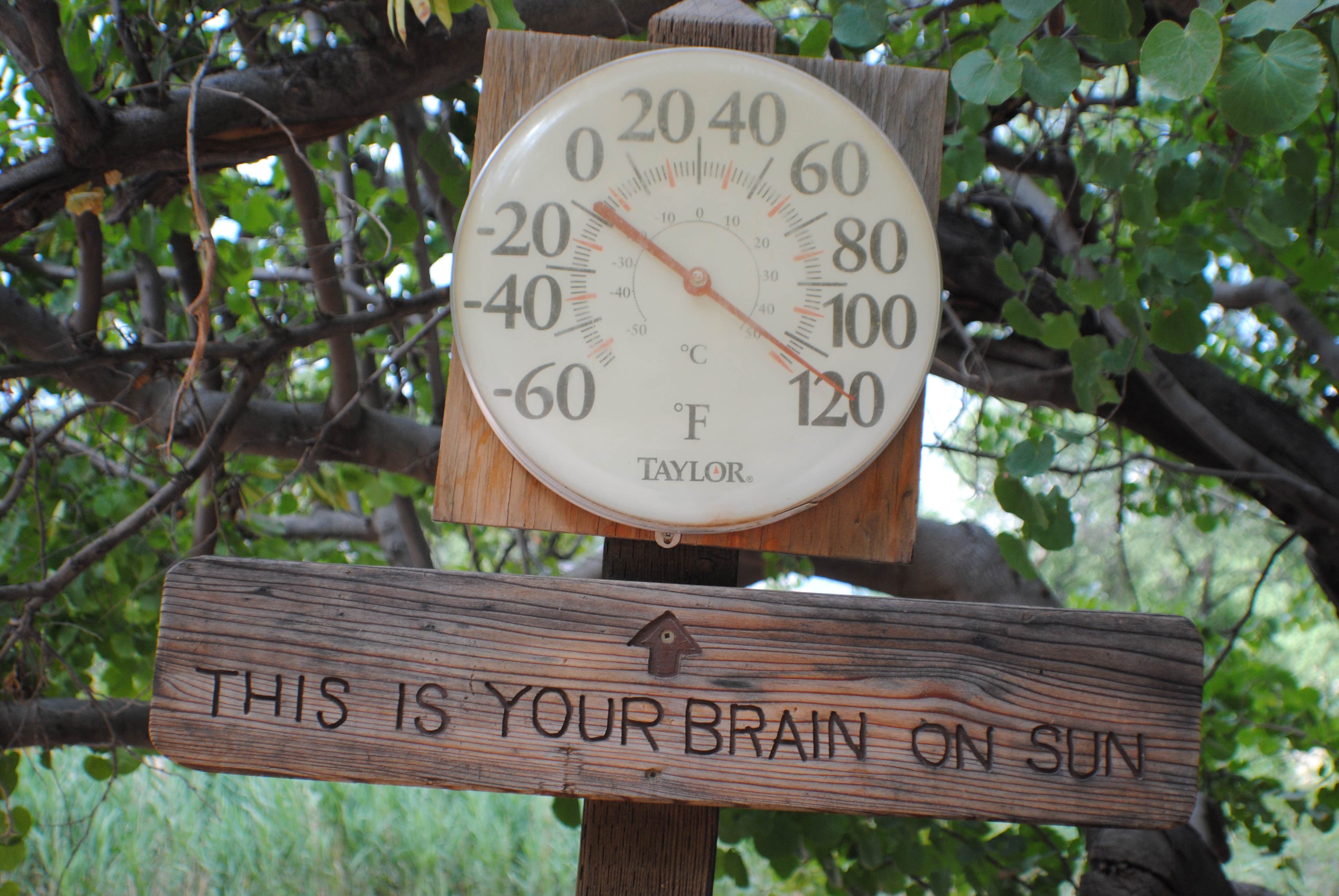 Temps in July
