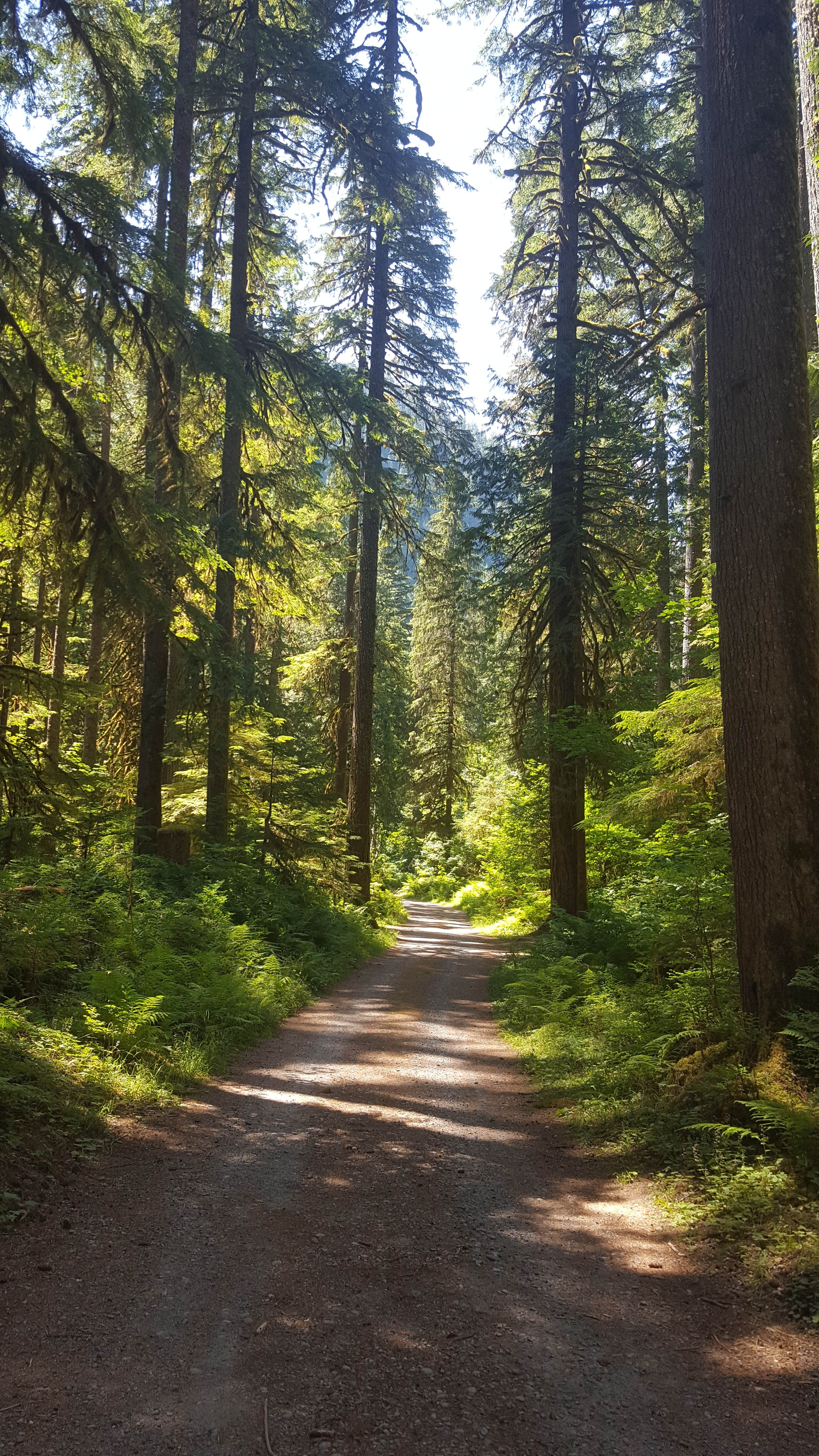 Camper submitted image from Marble Creek Campground - 5
