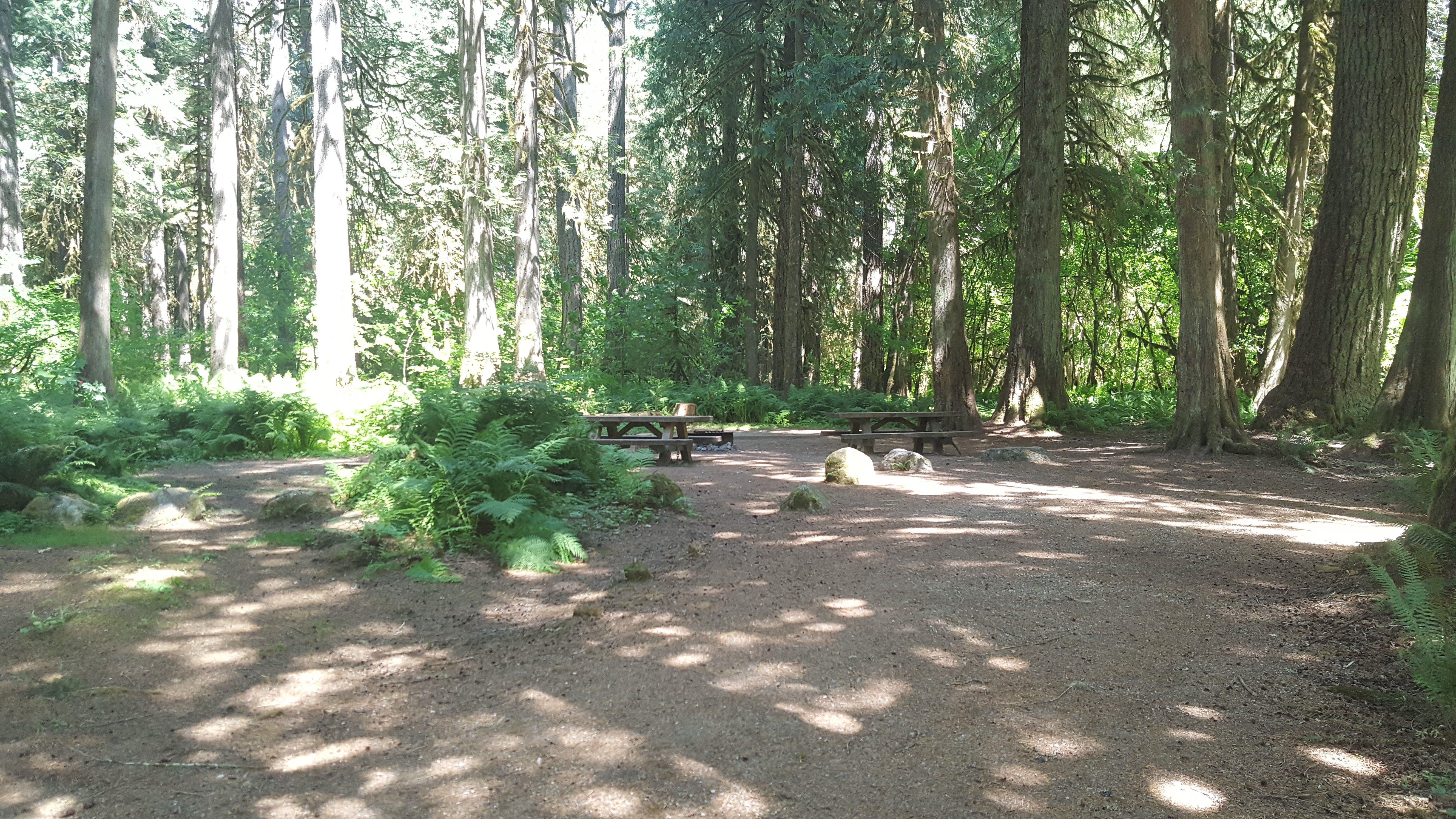 Camper submitted image from Marble Creek Campground - 2