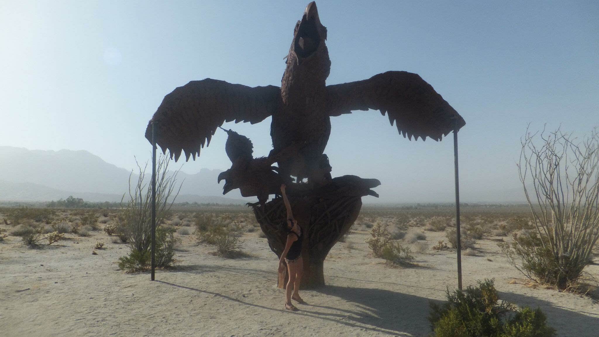 Camper submitted image from Borrego Palm Canyon Campground — Anza-Borrego Desert State Park - 2