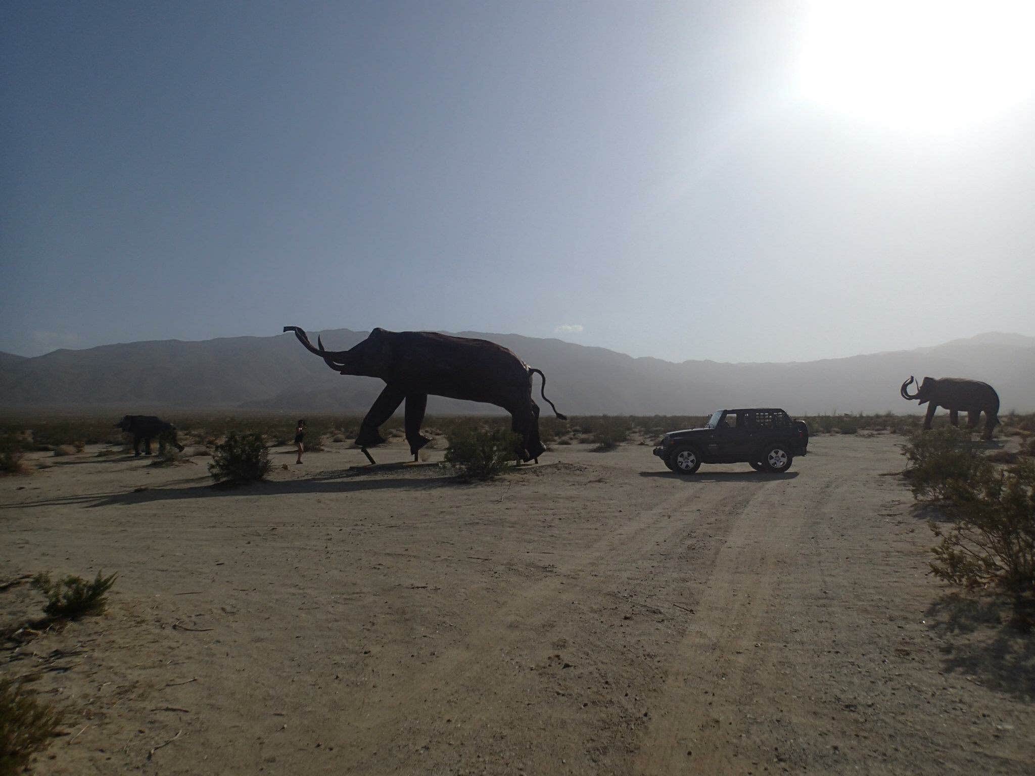 Borrego Palm Canyon Campground — Anza-Borrego Desert State Park