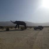 Review photo of Borrego Palm Canyon Campground — Anza-Borrego Desert State Park by Roland B., July 9, 2017
