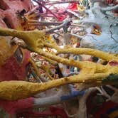 Review photo of Slab City by Roland B., July 9, 2017