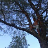 Review photo of Azalea Campground — Kings Canyon National Park by Roland B., July 9, 2017