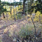 Review photo of Wild Iris OK Corral by Leah W., July 9, 2017