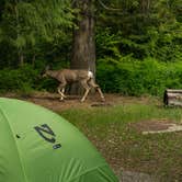 Review photo of Sprague Creek Campground — Glacier National Park by Evan H., July 9, 2017